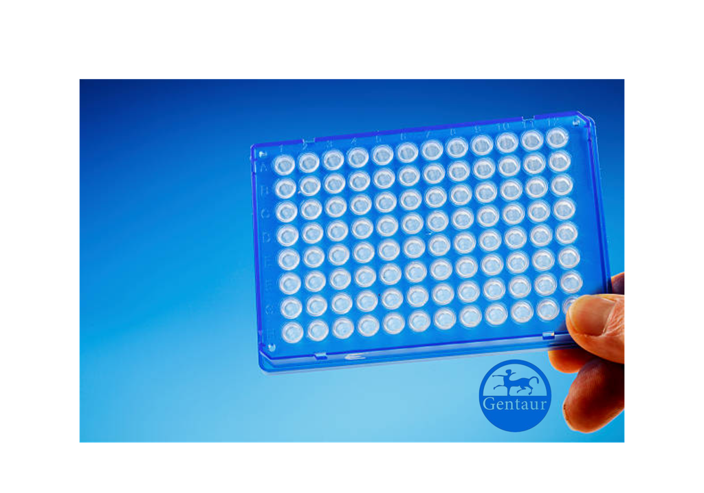 ELISA   A1BG anti-