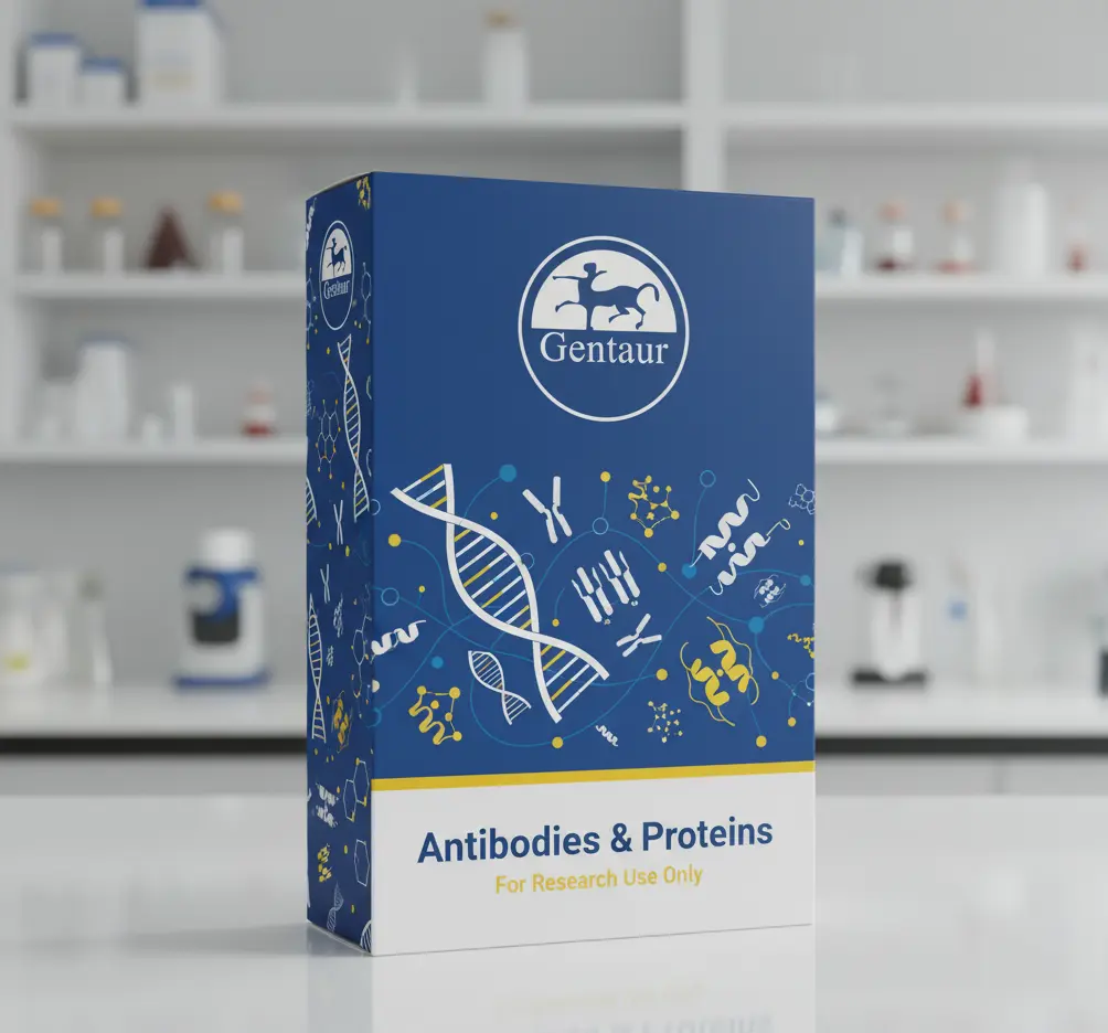 Agouti Related Protein (AGRP) Polyclonal Antibody - 100 µL