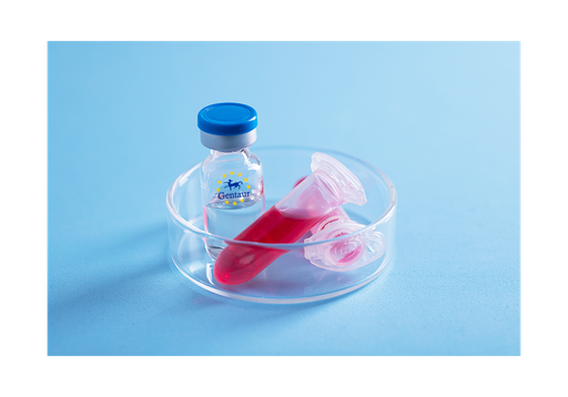 [GEN-PYT008-5ug] TNF a Rabbit