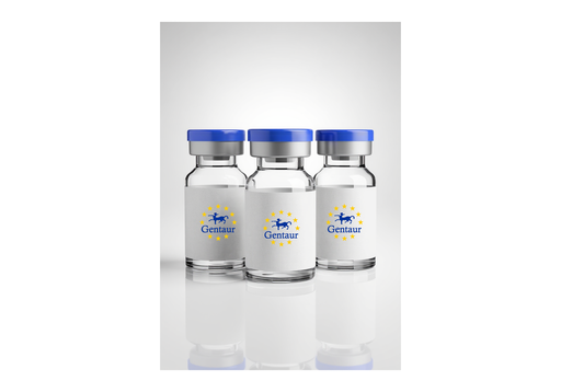 [GEN-HEAL-120V] Seamless Cloning by HEAL