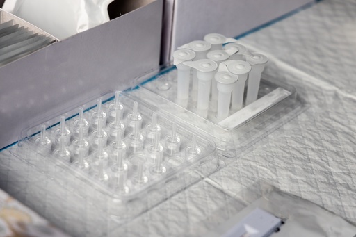 [GEN-BXS1005-nan] pMEV2HA-NANOG