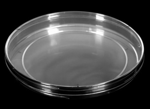 [GEN-KORD-2902] 150 x 15 mm Slippable Rimless Petri Dish, Polished Polystyrene, RNase and DNase Free, STERILE